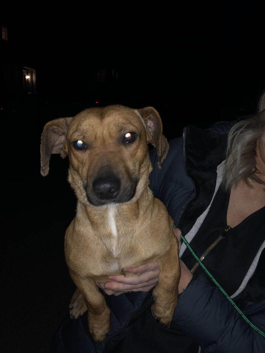 mhdean3's tweet photo. @OxfordPolice this little nugget was found on 7 right before Grand Oaks!  Anyone missing?? https://t.co/JIWwWGsBs0
