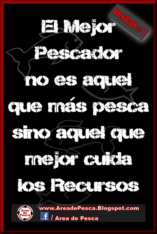AreadePesca's tweet photo. El Mejor Pescador Deportivo es...

Cuidemos Nuestros Recursos,
para poder seguir pescando
por mucho tiempo más...

https://t.co/on7rKSxSIW https://t.co/6oCEfQSHWf