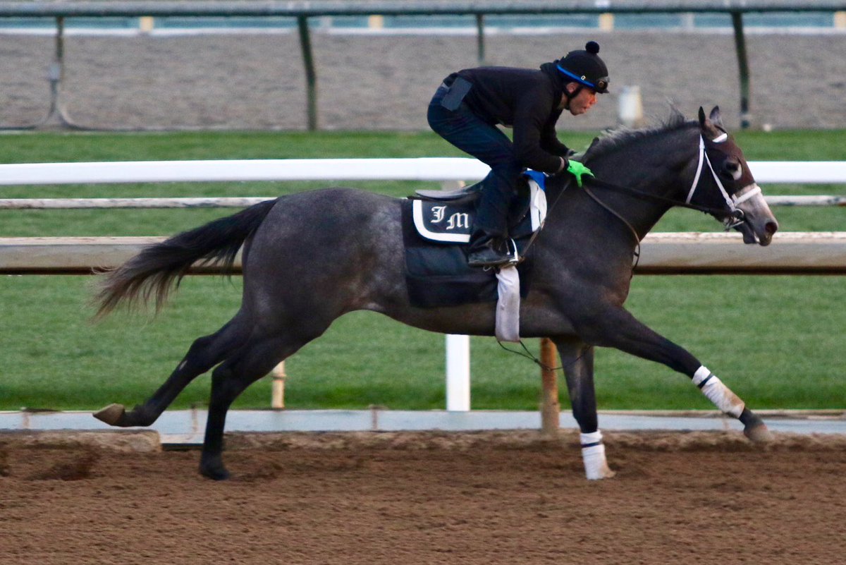 Mika the Mistess and Wesphire worked yesterday morning <a href="/santaanitapark/">Santa Anita Park</a>. #JMRacing