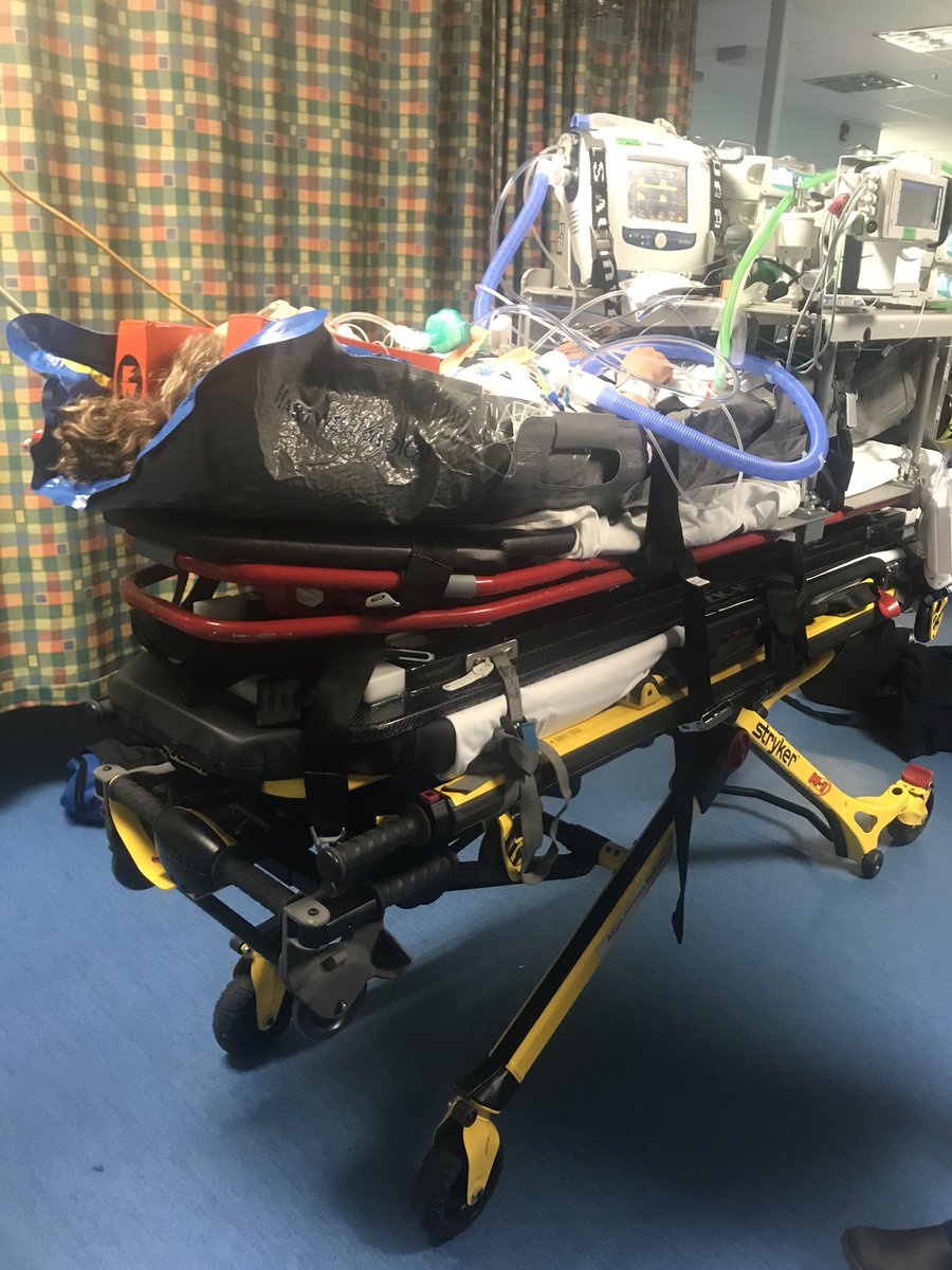 Highflow Farmer tweet media