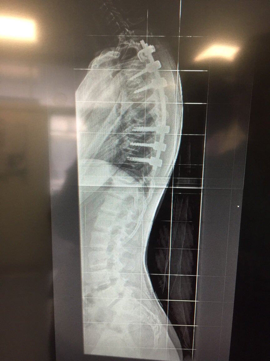 Highflow Farmer tweet media