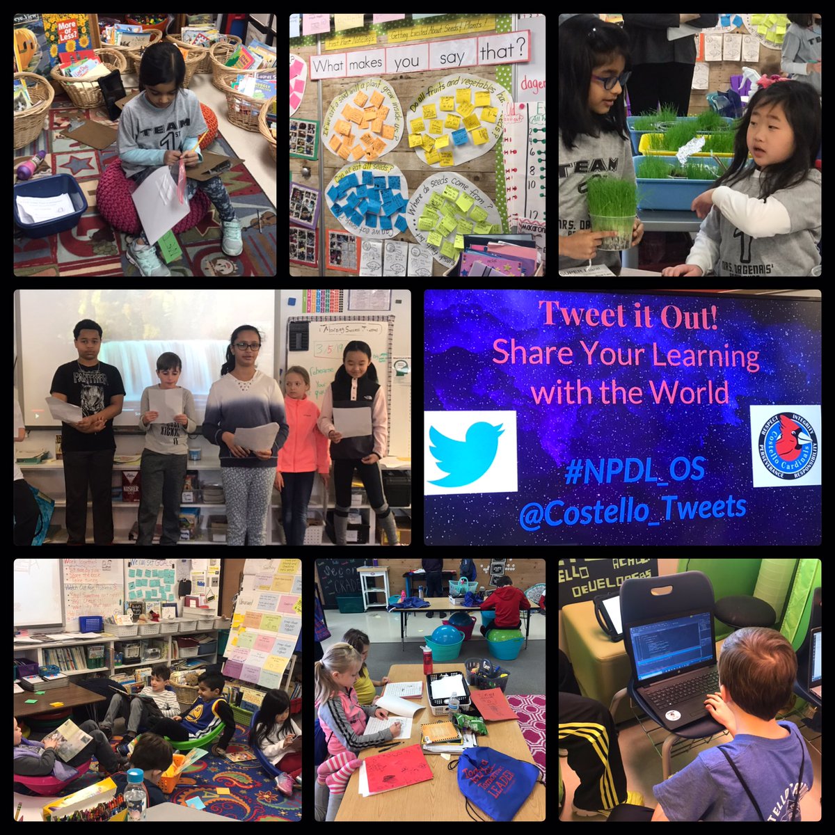 DebiFragomeni's tweet photo. An awesome morning @Costello_Tweets learning from empowered students &amp; educators engaged in deep learning &amp; reflecting the 4 Pillars . The coherence within this vibrant culture to embrace complexity &amp; value student voice was truly an inspiration ! Thank you to the talented team! https://t.co/bepeArEn2B