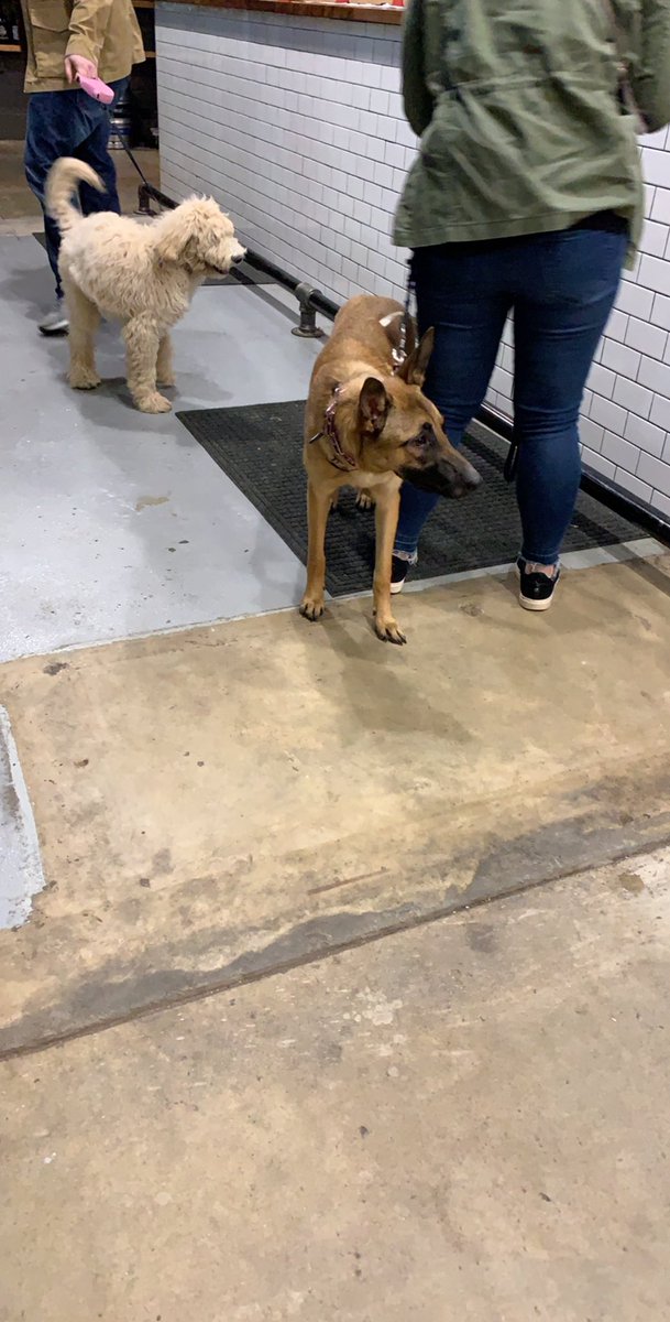 HurricaneChloe's tweet photo. #bardogs https://t.co/49bbyfGZO4