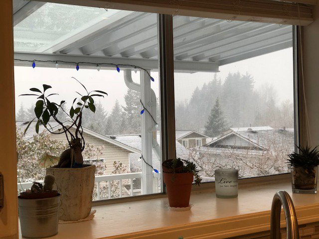 Linda Swanepoel tweet media