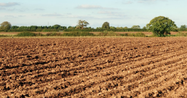 AgricenAu's tweet photo. Download our Understanding #Soil Microbiology and Biochemistry booklet to learn how microbes and the biochemistry they produce play a major role in #nutrientrelease, as well as crop growth, health and nutrition. https://t.co/TykxYqEm3y https://t.co/a05Tey8eR4