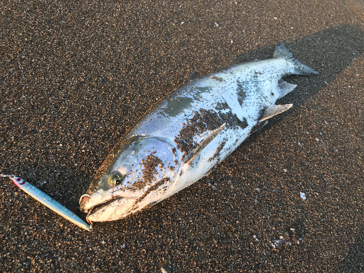 岡ジグ 岡ジグ