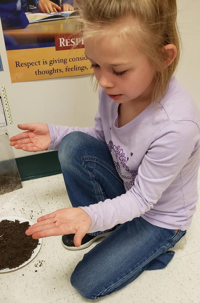 PLE First Grade tweet media