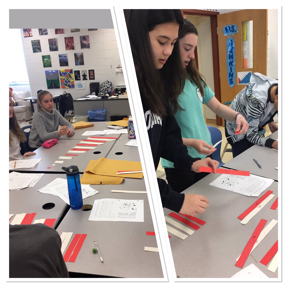 edug8tor_mehms's tweet photo. It’s Reebop breeding season @mehms. 7th graders are exploring meiosis and finding out why brothers and sisters can look different from their parents and each other. #itsinyourgenes #DareToBeDifferent https://t.co/86RezpFNUv