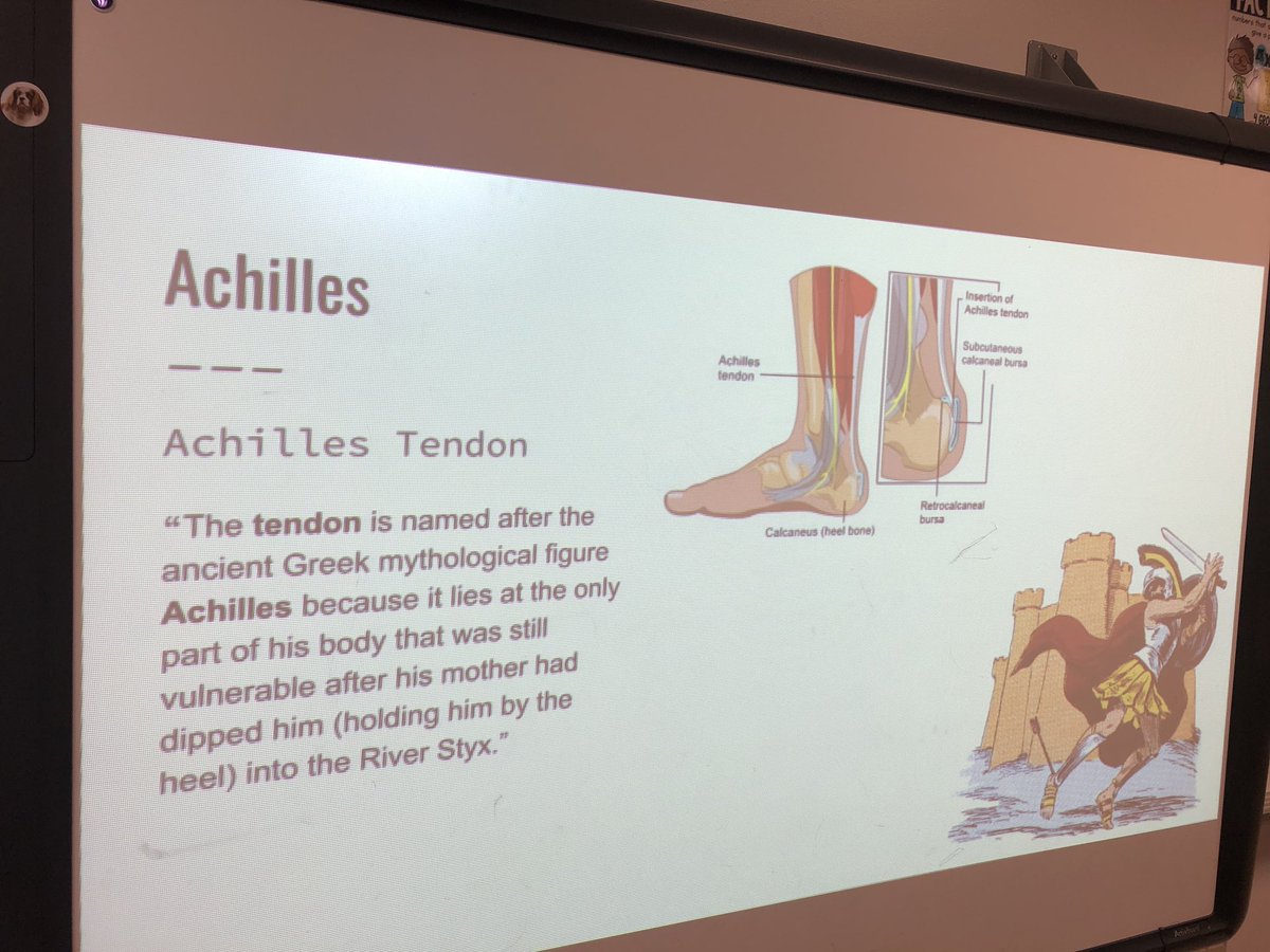 Stretching our Achilles’ tendons today after reading the Greek Myth of Achilles! #KinesticLearning #ContentIntegration