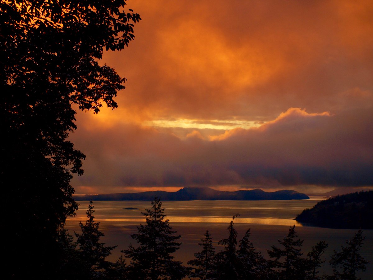 Orcas Island Chamber tweet media