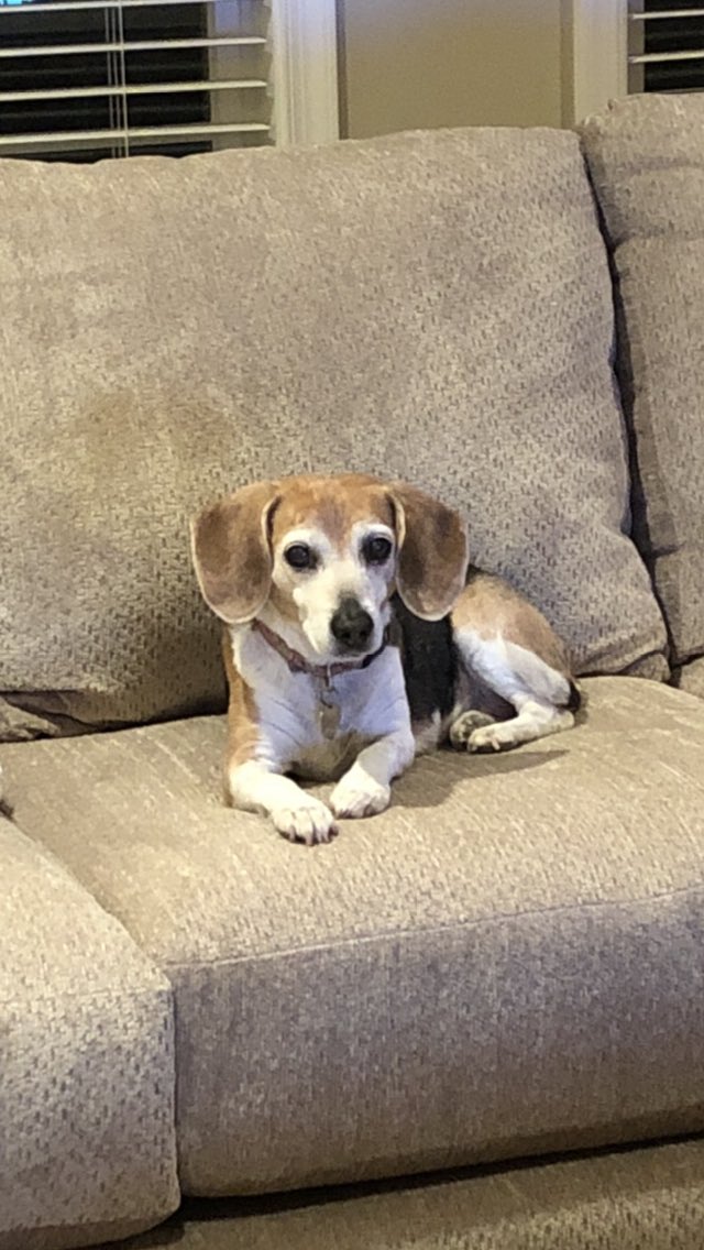 sandy memmo tweet media