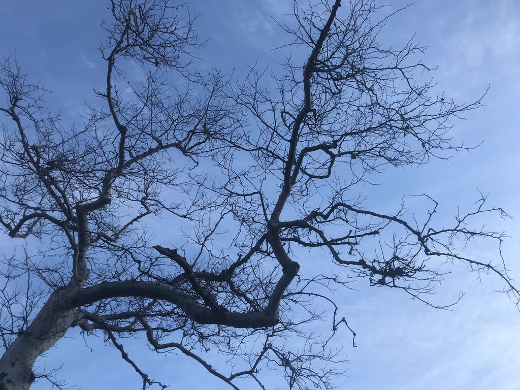 touchthetrail's tweet photo. Challenge is the teacher. By enduring through adversity, engaging with it, &amp; learning from it we grow. Join me in Ep. 166 as we explore the mathematical concept of fractals to illustrate the use of difficult situations as tools for personal betterment. https://t.co/IUDvA5CRzz https://t.co/zszHMEAJRR