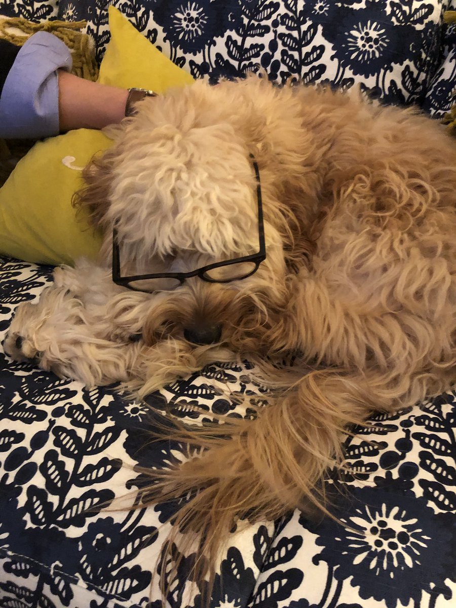 MacPartyOf5's tweet image. Falling asleep while reading