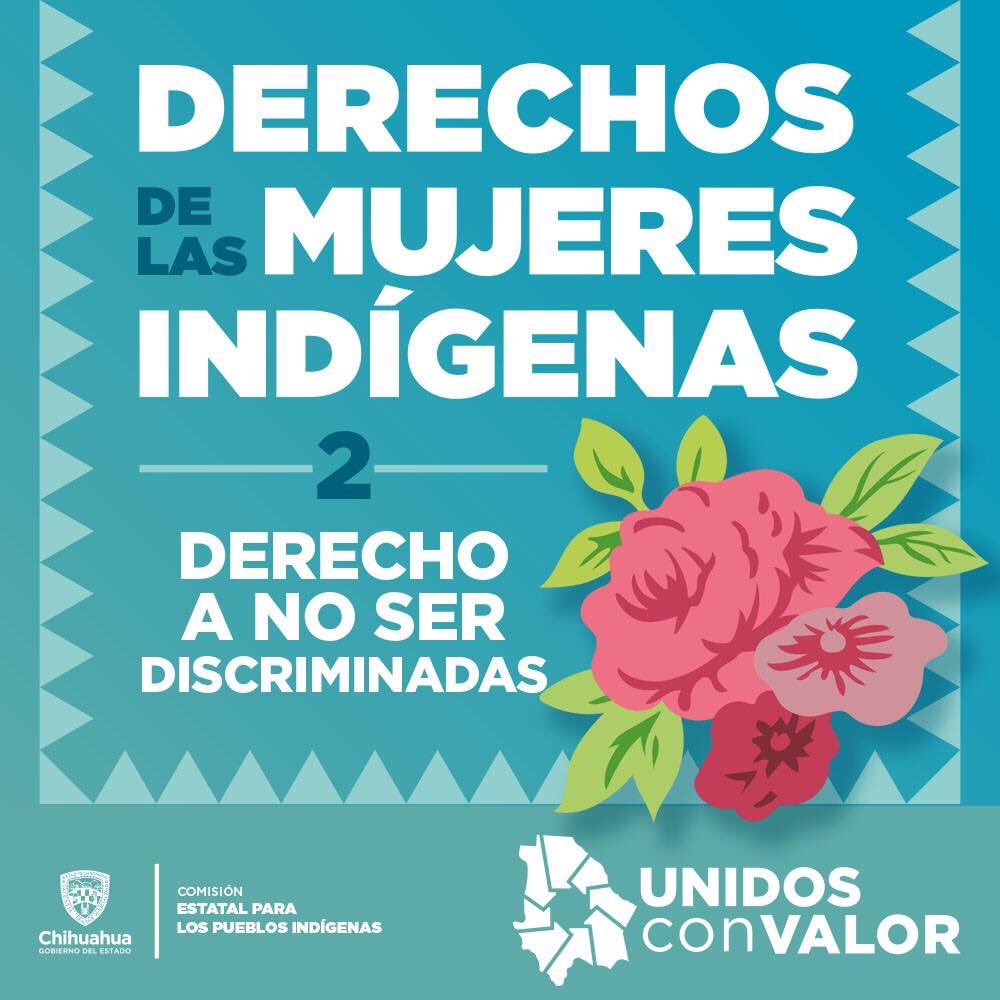 Secretaría de Pueblos y Comunidades Indígenas tweet media