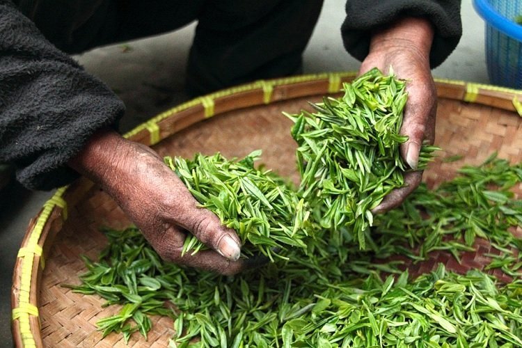 thsjjournal's tweet photo. #NaturalRemedies for Better Digestion - https://t.co/AY2ZQRbjDd
#DietWeightLoss #Health #Tea https://t.co/sRo7WUe8VN