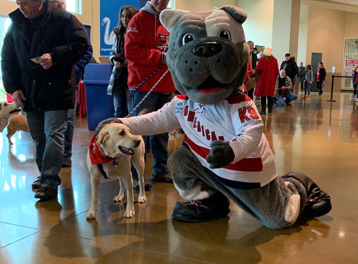 AllenAmericans's tweet photo. End of 2: Please enjoy a cute dog from Pucks 'N Paws and disregard the information below!

Kansas City 6
Allen 0
#ALNvsKC https://t.co/oG59QRNHzD
