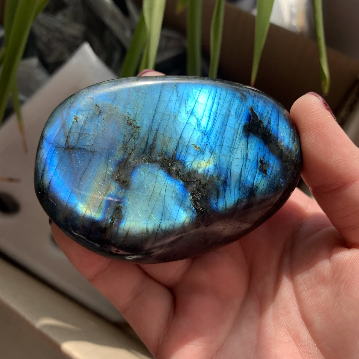 rockeastgem's tweet photo. On sale:2 Faces Flash Polihsed Natural Labradorite Palm Stone
size:80*55*26mm 215g
💰20usd including shipping
#minerals #mineral #mineralcollecting #minerales #crystals #flashystone #flashylabradorite
#labradorite #labradoritestones #witchcraft #crystalshopping
#chakrastone https://t.co/E4vuO0LG8j