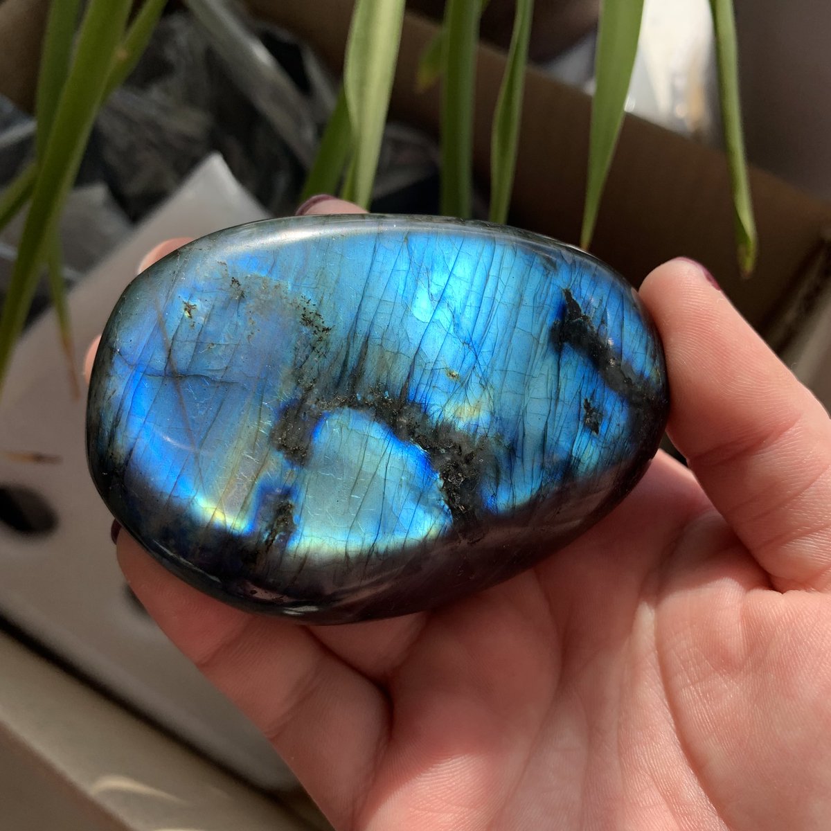 rockeastgem's tweet photo. On sale:2 Faces Flash Polihsed Natural Labradorite Palm Stone
size:80*55*26mm 215g
💰20usd including shipping
#minerals #mineral #mineralcollecting #minerales #crystals #flashystone #flashylabradorite
#labradorite #labradoritestones #witchcraft #crystalshopping
#chakrastone https://t.co/E4vuO0LG8j