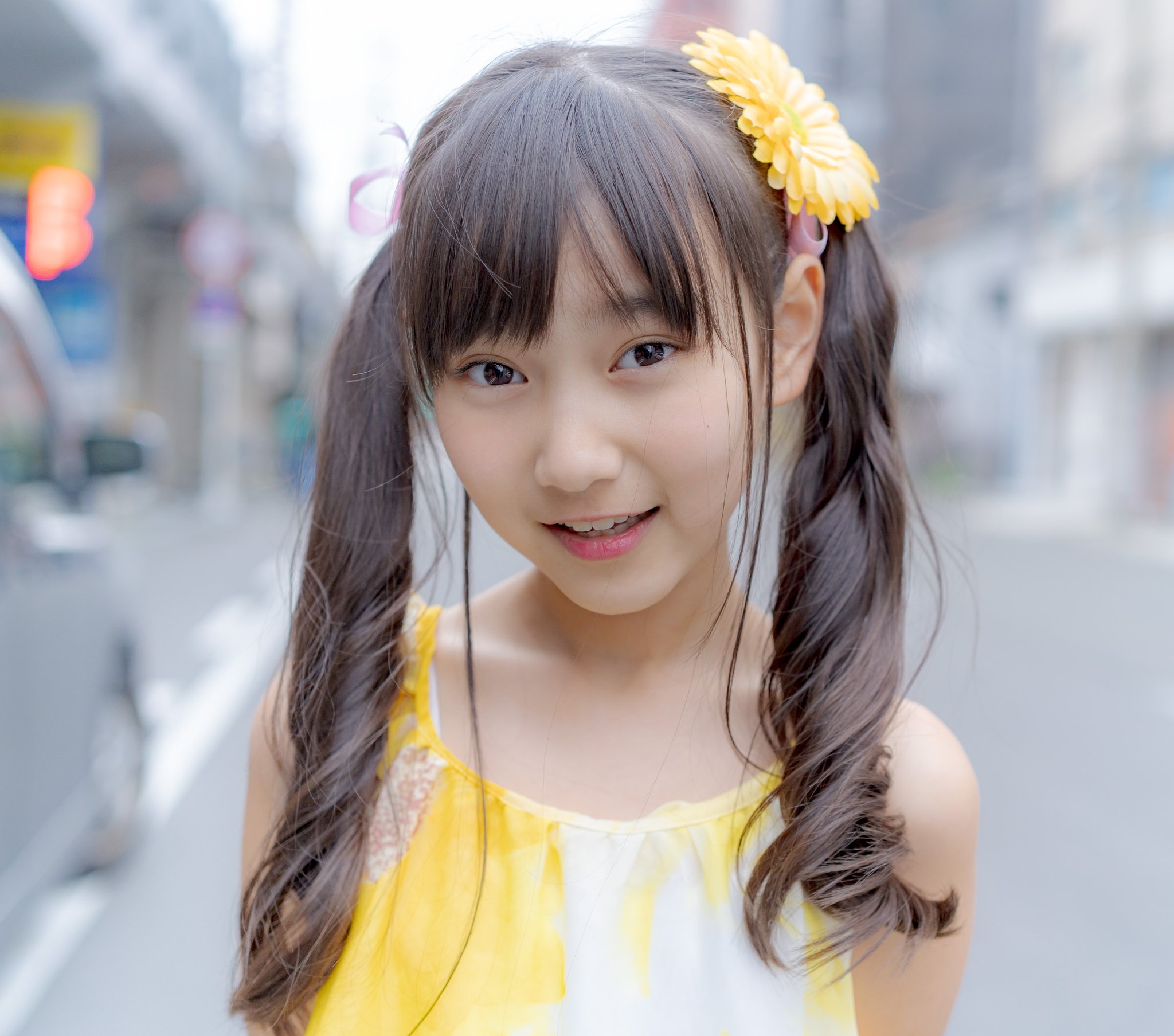 はぐちさん　じゅみょうちゃん　2点セット はぐちさん ぬいぐるみ (1)はぐちさん/(2)じゅみょう : トータス