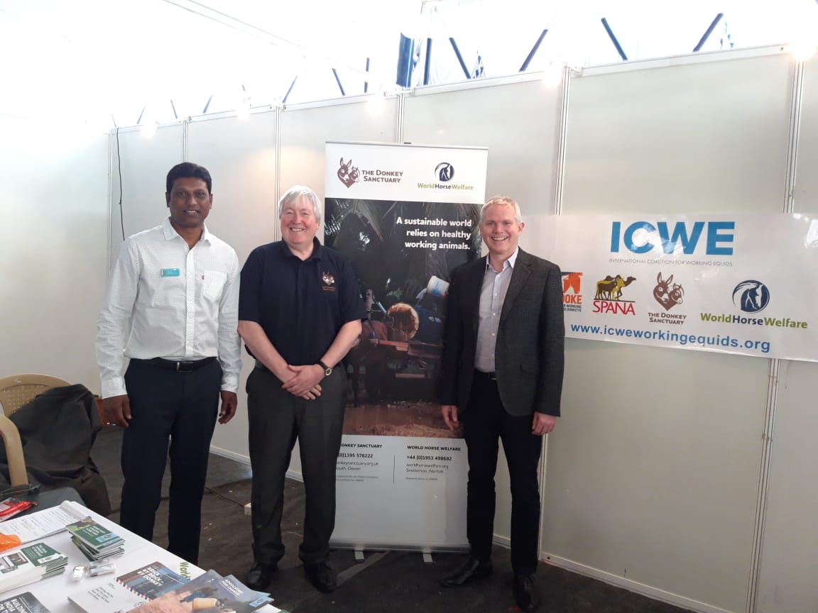 DrJoeCollins's tweet photo. Donkey Sanctuary senior staff working #PCVC7 to improve equine welfare with partners #ICWE https://t.co/JvmKrQ3irC