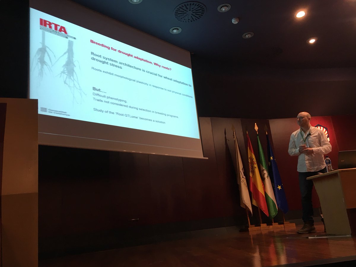 Jose Miguel Soriano from <a href="/irtacat/">IRTA</a>: Discovering consensus genomic regions in wheat for root-related traits by QTL meta-analysis. #SEFIMEC2019