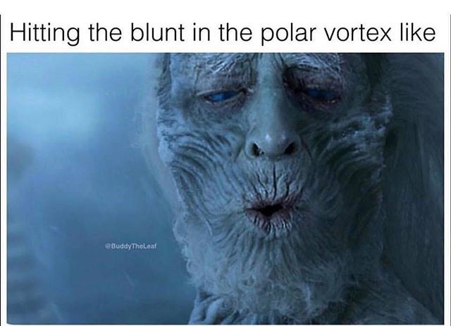 stinksack's tweet photo. That good good..., #smellproof #odorless #stinksack #stealth #cannabis #marijuana #dabs #extracts #edibles #headies #kush #cancer #indica #newyorkcity #smokeweedeveryday #cbd #thc  #ommp #snoopdog #wutangclan #cypresshill #cannabis #bassnectar #festivals… https://t.co/T2JwSgHp0D https://t.co/TpgvWxLrvZ