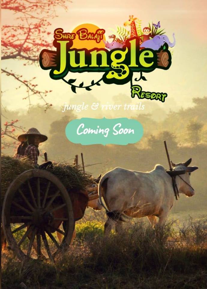 gatewaygroup3's tweet image. Coming soon in Near Indore(MP) Premium Resorts Project&apos;&apos; Shree Balaji   Jungle Resorts&quot; Fully furnished cottage 2500Sqft , 3500sqft, 5000 Sqft sizes. Contact us: 72477-88888