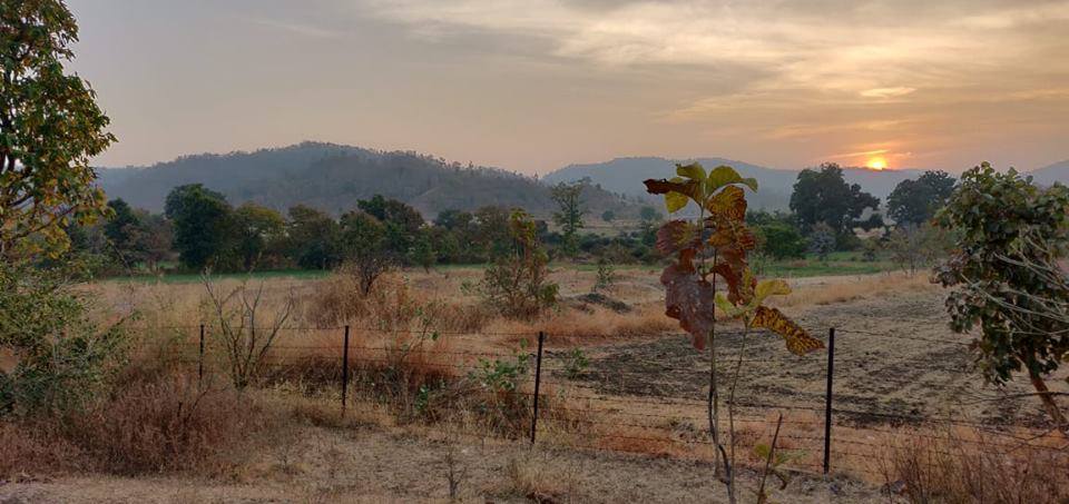 gatewaygroup3's tweet image. Coming soon in Near Indore(MP) Premium Resorts Project&apos;&apos; Shree Balaji   Jungle Resorts&quot; Fully furnished cottage 2500Sqft , 3500sqft, 5000 Sqft sizes. Contact us: 72477-88888