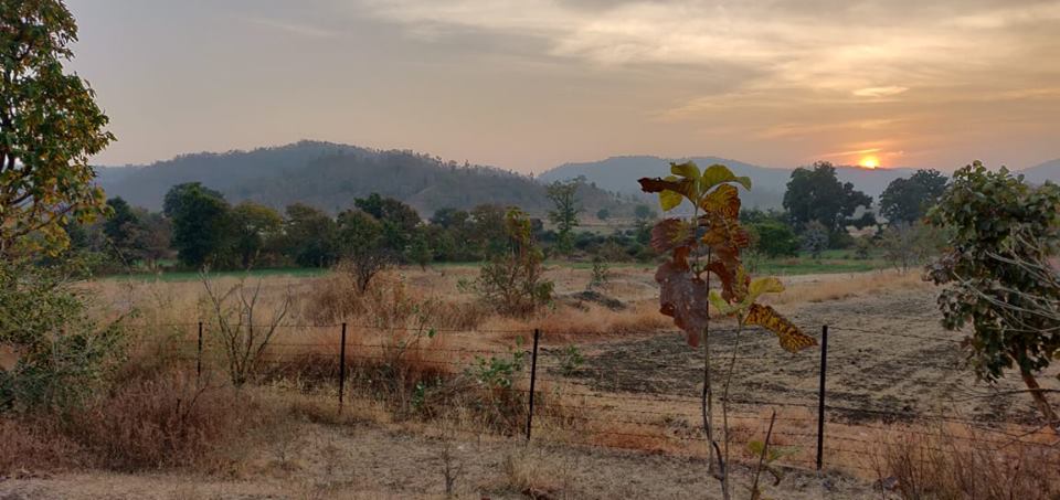 gatewaygroup3's tweet image. Hello Everyone, I am please to inform you that our Gateway Dev-con Group  is now launching our grand project &quot;बालाजी जंगल रिसोर्ट&quot; in INDORE(MP)  which is Fully furnished cottage,  contact  0731 4998288, Mobile No. - 7247788888.