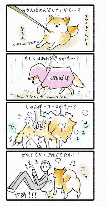 あめのひのかくご 