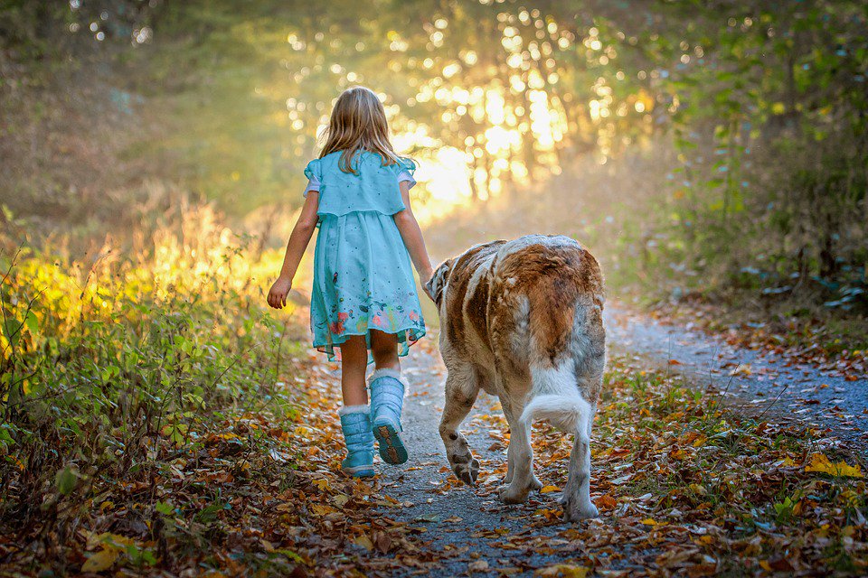 fermanaghlakes's tweet photo. Looking to explore Fermanagh with your dog? @BelleIslecastle's Marley & Me package is the perfect way to start planning your trip https://t.co/5znCnzcZba
#sayhellotoFermanagh #fermanagh #exploreni #discoverni #dogfriendlyni #dogfriendlyfermanagh #loveni #discoverireland https://t.co/U7TMpzU8o2