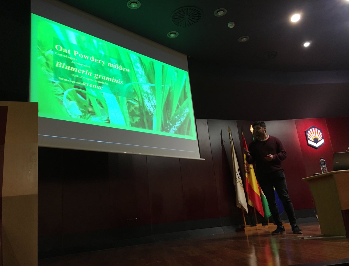 Luis Gallego (@OatResist) from <a href="/IAS_CSIC/">IAS-CSIC</a>: Digital image analysis for high throughput phenotyping of powdery mildew resistance in oats. #SEFIMEC2019