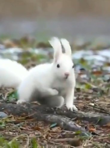 Захар Тимофеев tweet media