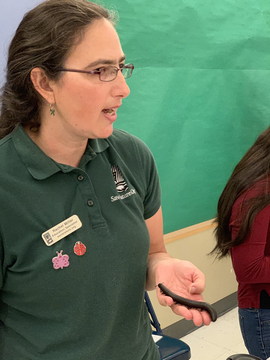 Almond School tweet media