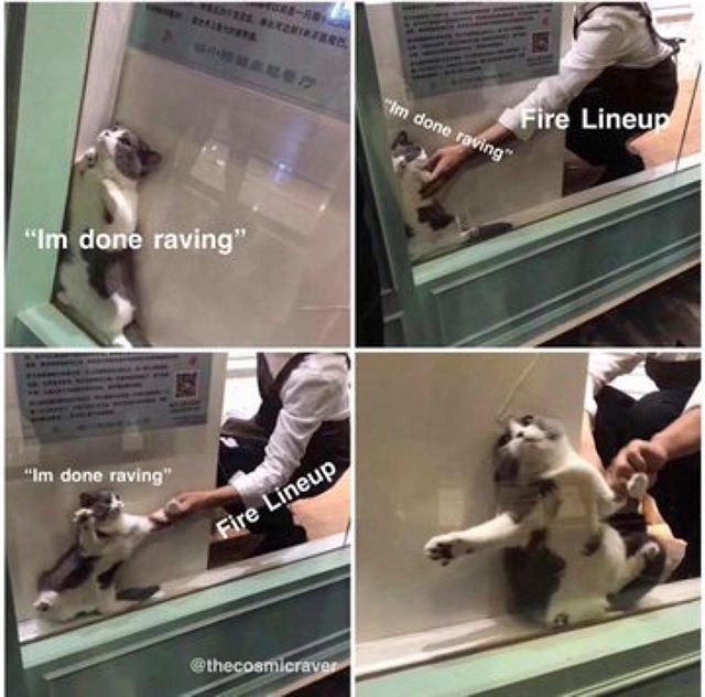 ravernationshop's tweet photo. The last picture 😂😂😂
.
.
.
#ravernation #ravernationshop #rave #raver #edm #edmlifestyle #edc #edclv #ultra #ravehumor #edmhumor #edmaddict #raveaddict #edmfestival #edmmusic #ravefam #ravetothegrave #ravebooty #edc2018 #edclasvegas #ravers #eatsleep… https://t.co/pCN5zA14zh https://t.co/5JV7XxYSJ3