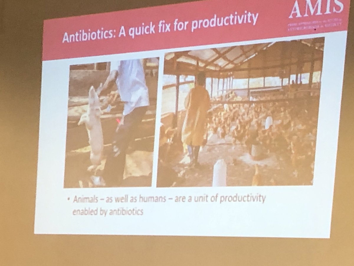 Prof_Leighton's tweet photo. Nayiga Susan gives examples of how antibiotics allow humans &amp; animals increase productivity &amp; get back to work quicker;&amp; how farmers use to prevent illness cos they can’t afford to lose animal

At 2nd Global-NAMRIP conf in Kampala(thanks @GCRF 4 funding #NAMRIP @NAMRIP_SotonUni). https://t.co/iyIyHAbqk0
