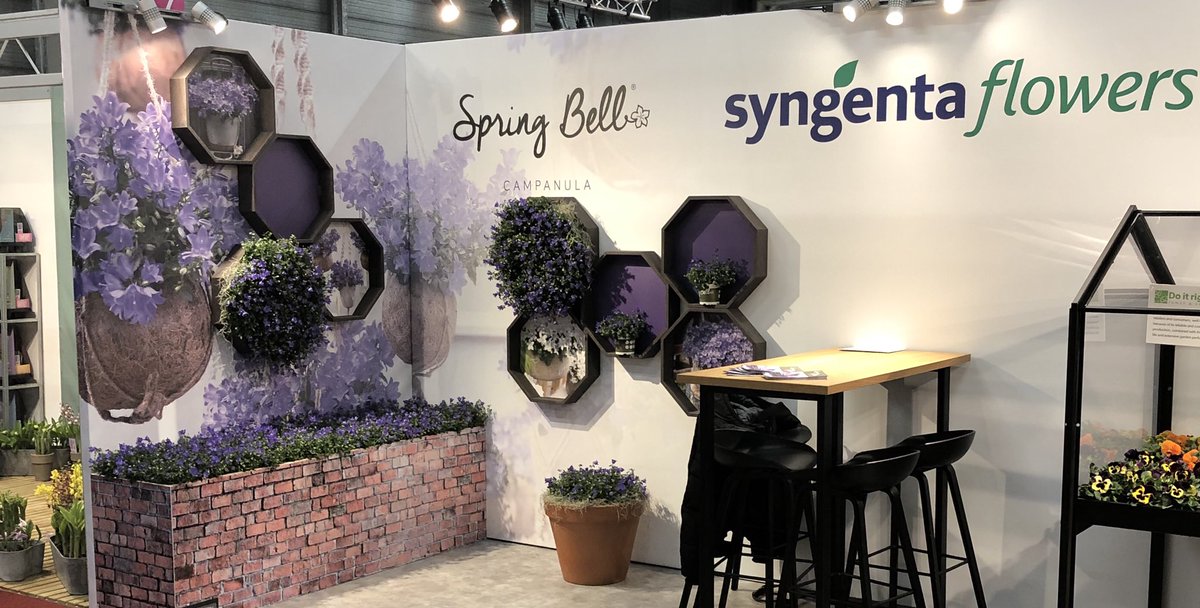 uffelenjohn's tweet photo. Vandaag een dagje op de #rfhtf met onze #doitright #campanula #sprjngbell @SyngentaFLS @Syngenta https://t.co/uOqG2vO0hd