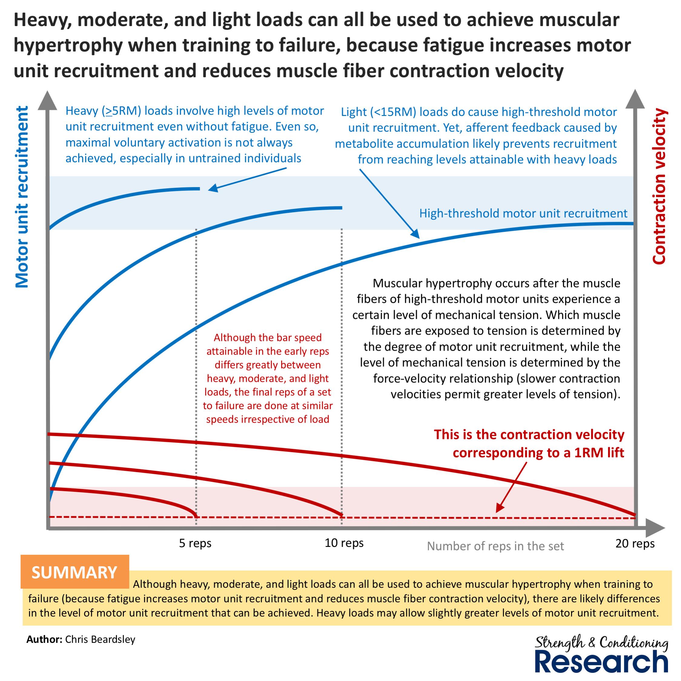 Chris Beardsley on X: Heavy, moderate, and light load strength training  can all be used effectively for gaining muscle size, and generally cause  similar results. However, there may be a slight benefit