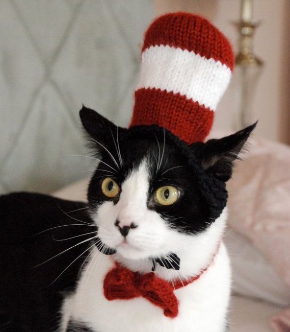 Number10cat's tweet image. Happy #WorldBookDay to you all