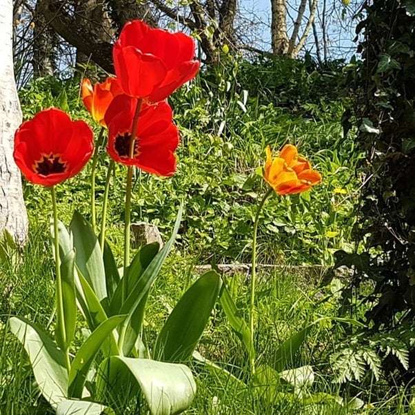 TheDippyFairy's tweet photo. 🌞Wishing you a happy Thursday!🌞 What are your plans today? ⁣

#TheDippyFairy⁣
#handmadeintheUK #givinghandmadeisgivinglove #supportsmallbusiness #smallUKbusiness #handmadejewellery #Lovelyflowers #flowersinthesunshine https://t.co/A1niabAbIY https://t.co/JazfuQgMJ4