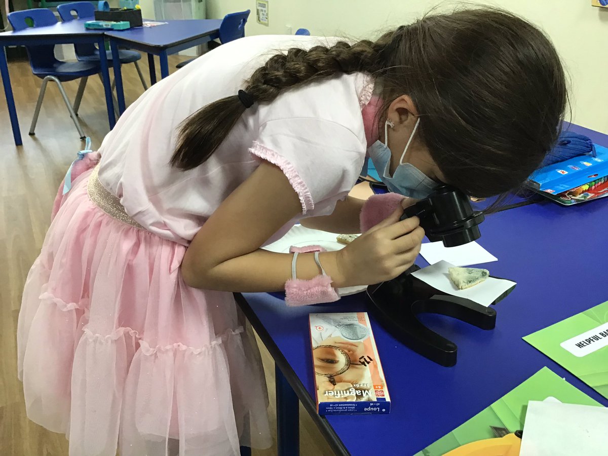 DIAB_Grade2's tweet photo. Grade 2 studying mould as part of the Fungi Kingdom as well as useful and harmful bacteria,forming part of the Monera Kingdom #DIABgrad2 #DIABwearescientists  #DIABinquirers #DIABwatchusclassify https://t.co/9LdVkd435V