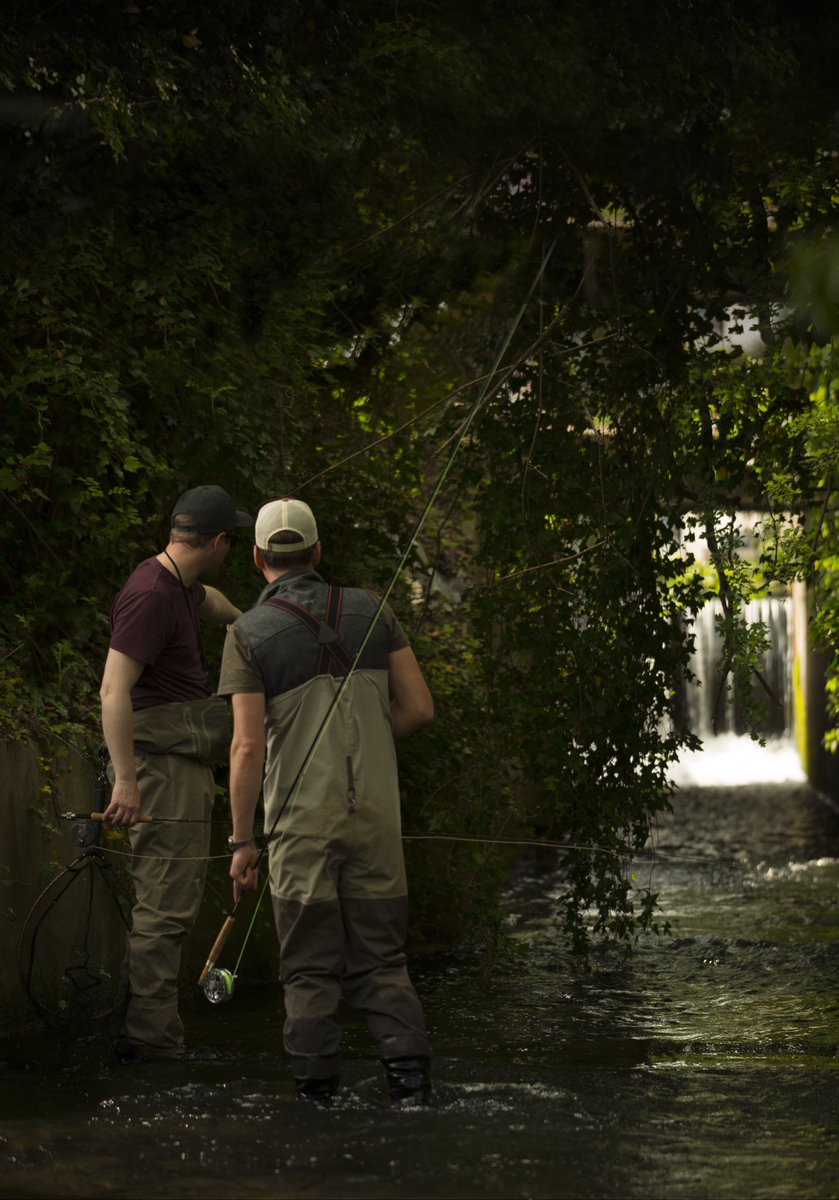 Chalkstream Fly tweet media
