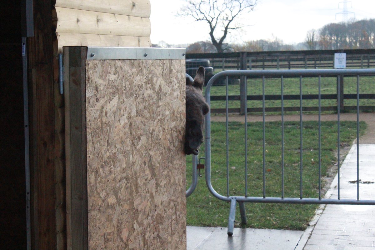 Peek a boo! 😂🙈