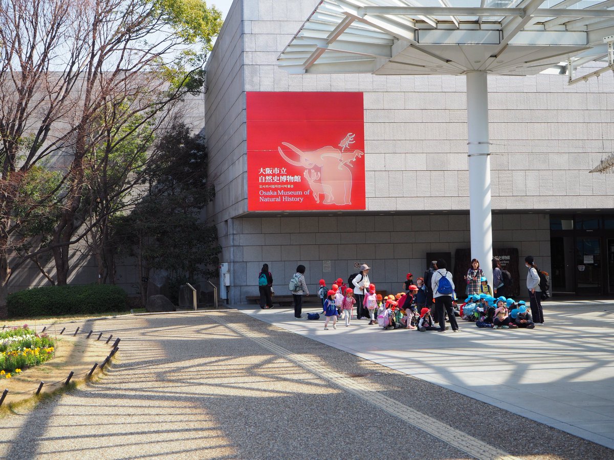 長居公園 Nagai Park 寒さも和らぎ 長居植物園では梅やカワズザクラの花がきれいです 遠足の園児たちの姿も見られ Handsome Bot Gardenにいらっしゃるお客様も増えてきました みなさま ぜひご来園ください 開花情報はこちらです T Co