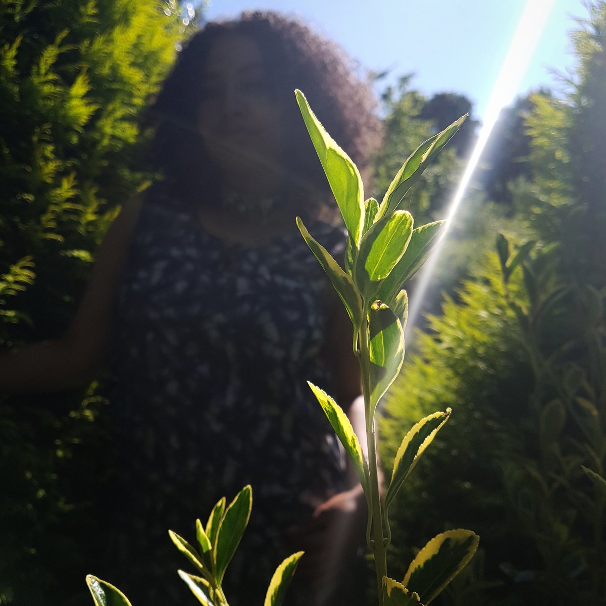 FashionByAFro's tweet photo. Better days are coming🌱 https://t.co/MXIIvi1V5k