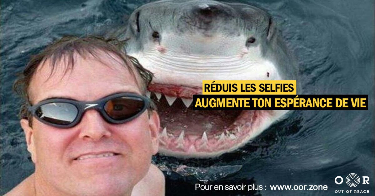 oorzone's tweet photo. à méditer... 😌

#SharkAttack#OutOfReach#Deconnexion https://t.co/Q84YGd3vQf