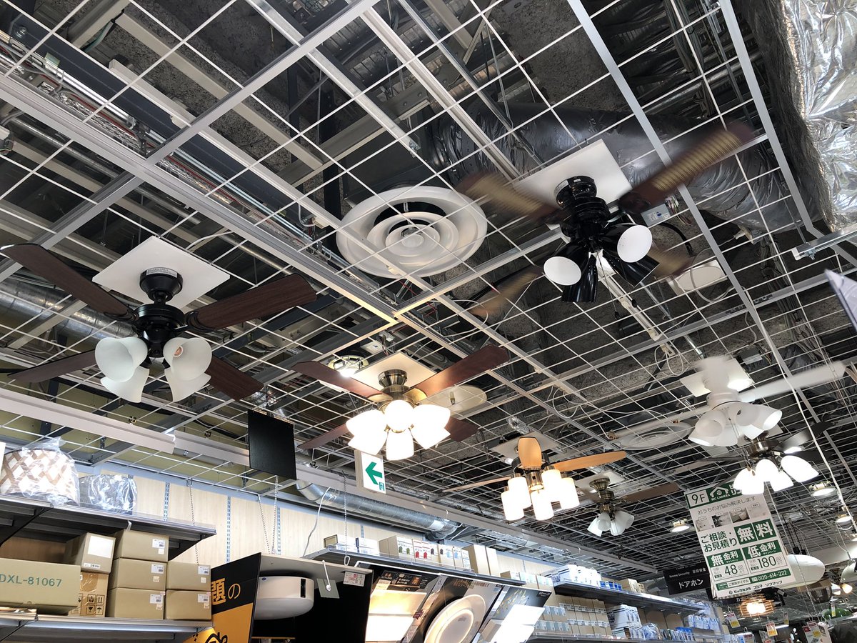 地域 評価する ファッション ビックカメラ シーリング B Dogs Jp