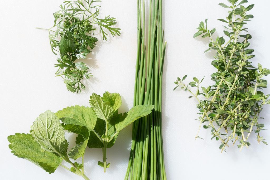 SeedGenerations's tweet photo. A little something we wrote last fall: How to Grow and Use Chives https://t.co/UPmaduPFFL #SeedsforGenerations #growingherbs #Growingchives #Herbs #Commonchives #Chives https://t.co/XEQw2H1HHj