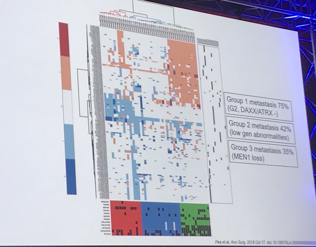 steland011's tweet photo. Amazing overview on mechanisms of #metastasis in #GEPNET tumors explained by Dr. Rindi in #ENETS19 https://t.co/CehKMX3nHQ