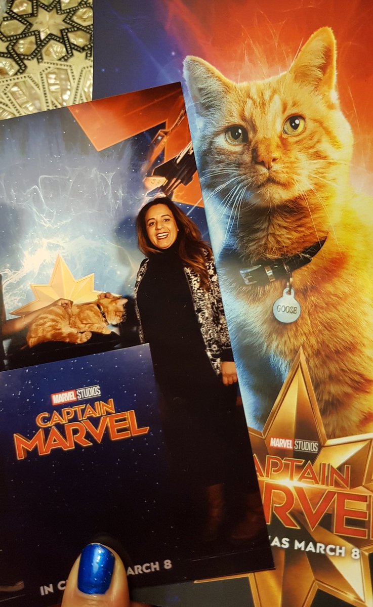 AmannyMo's tweet photo. What happens when you cross a #gingercat with @AmannyMo ?? It's @captainmarvel o'clock .. here's my attempt to pose with #goose #socite and play the #superhero @Disney_UK @BBCSurrey @JamesCannon66 @lesleymccabeFM https://t.co/01goXOuO3X